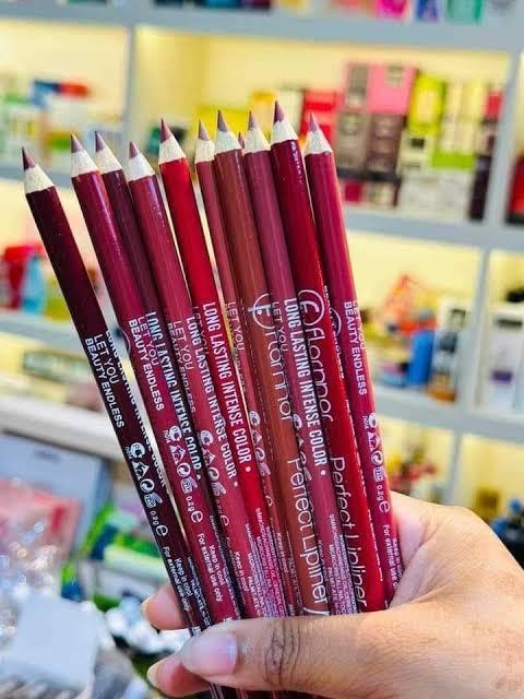 High Pigment Lip Pencils Matte Finish 12 Pack