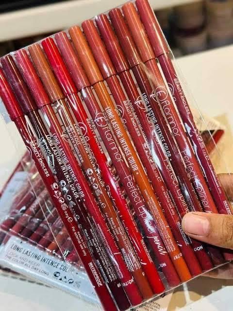 High Pigment Lip Pencils Matte Finish 12 Pack
