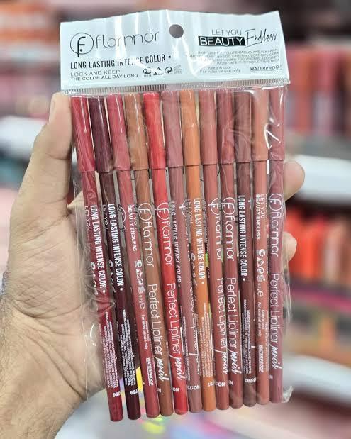 High Pigment Lip Pencils Matte Finish 12 Pack